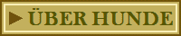 BER HUNDE